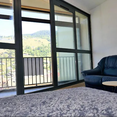 Elena, Vue Sur La Montagne, Centre Apartment La Bresse